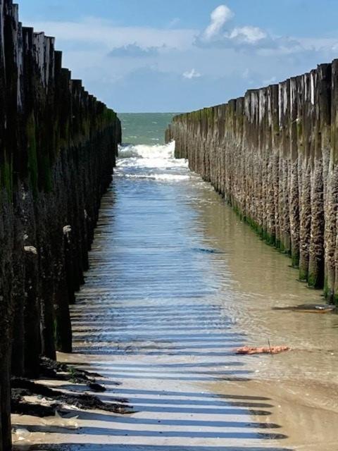 Duinstrand Burgh-Haamstede